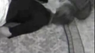 뿔의 색녀 원 아빠 정액 에 얼굴 무삭제 포르노 영화 점점